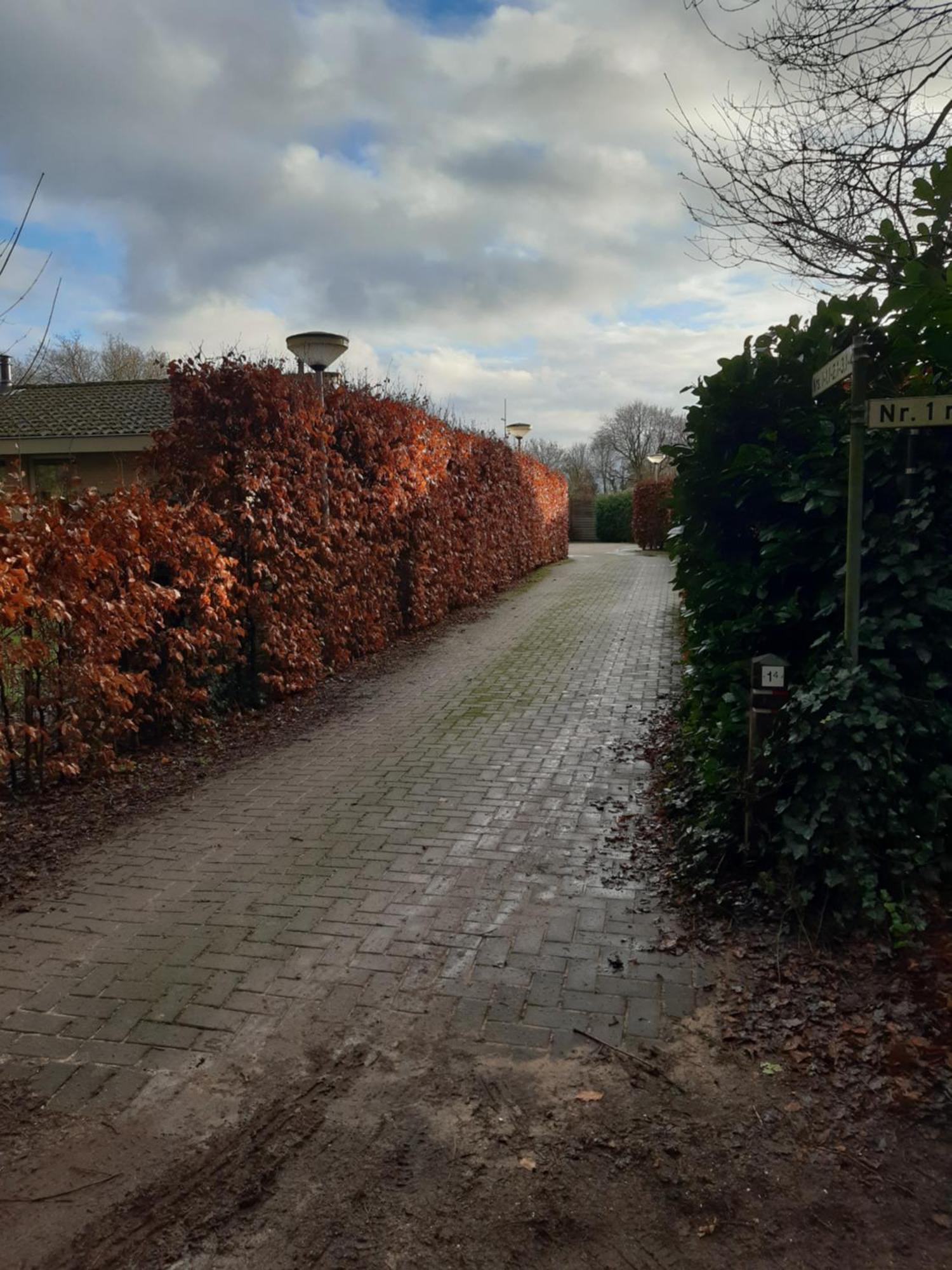 Huinerhofje 3 - Vrijstaand, Grote Tuin, Rust En Veel Privacy Nabij Uitgestrekte Bossen Villa พุทเทิน ภายนอก รูปภาพ